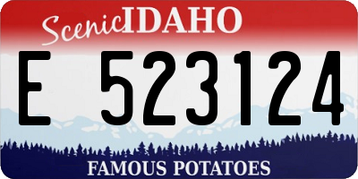 ID license plate E523124