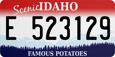 ID license plate E523129
