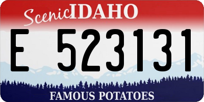 ID license plate E523131