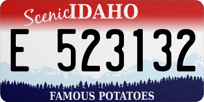 ID license plate E523132
