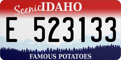 ID license plate E523133