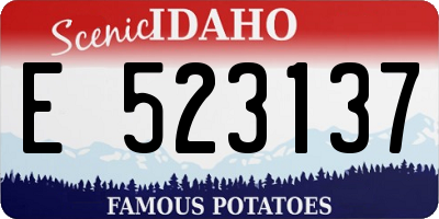 ID license plate E523137