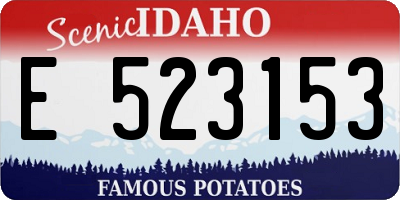 ID license plate E523153