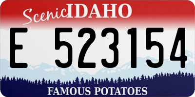 ID license plate E523154