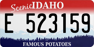 ID license plate E523159