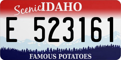 ID license plate E523161