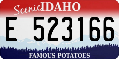 ID license plate E523166