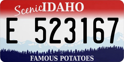 ID license plate E523167