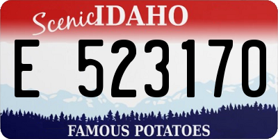 ID license plate E523170