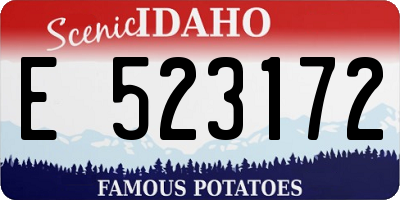ID license plate E523172