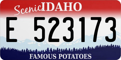 ID license plate E523173