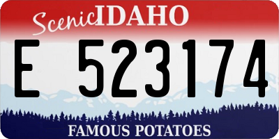 ID license plate E523174