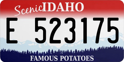 ID license plate E523175