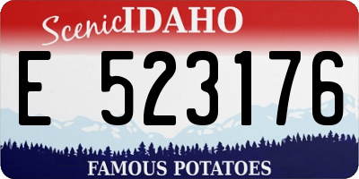 ID license plate E523176