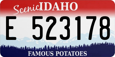 ID license plate E523178
