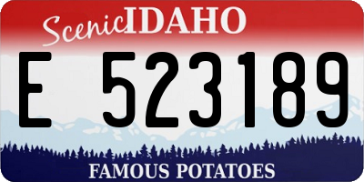 ID license plate E523189