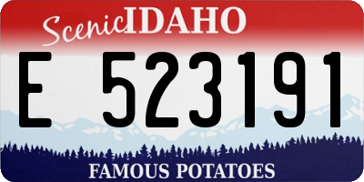 ID license plate E523191
