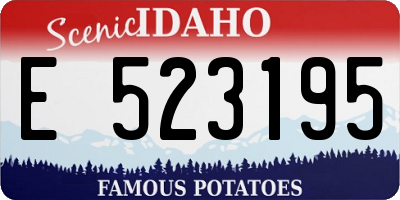 ID license plate E523195