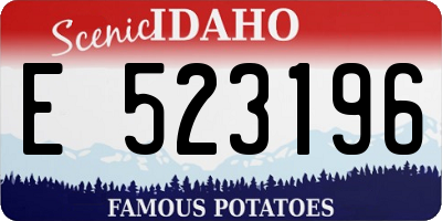 ID license plate E523196