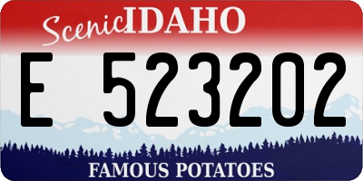 ID license plate E523202