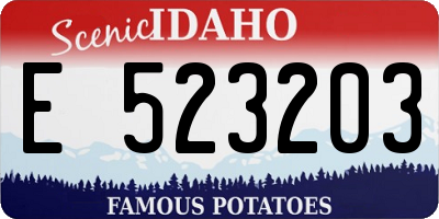 ID license plate E523203