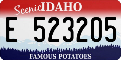 ID license plate E523205
