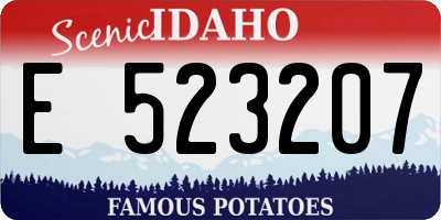 ID license plate E523207