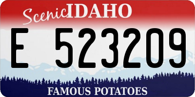 ID license plate E523209