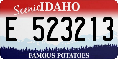 ID license plate E523213