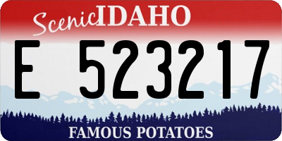 ID license plate E523217