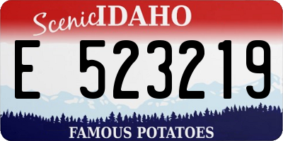 ID license plate E523219