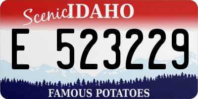 ID license plate E523229