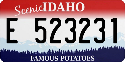 ID license plate E523231