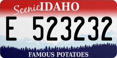 ID license plate E523232