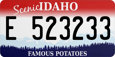 ID license plate E523233