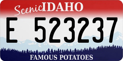 ID license plate E523237