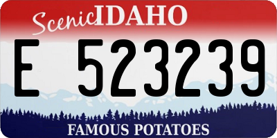 ID license plate E523239