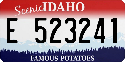 ID license plate E523241