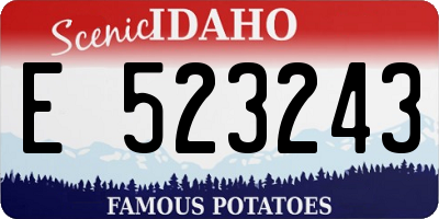 ID license plate E523243