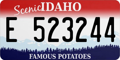 ID license plate E523244