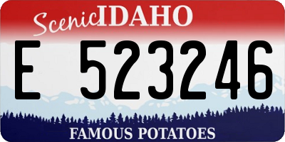 ID license plate E523246