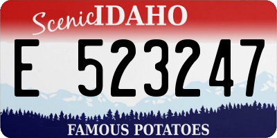 ID license plate E523247