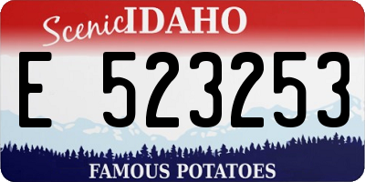 ID license plate E523253