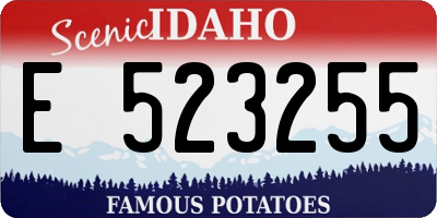 ID license plate E523255
