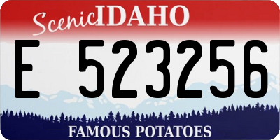 ID license plate E523256