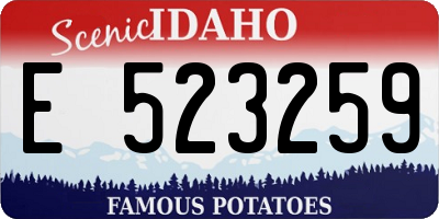 ID license plate E523259