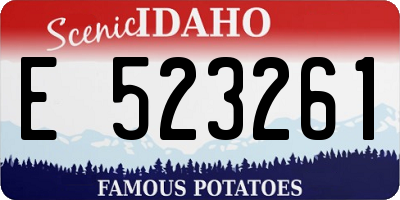 ID license plate E523261