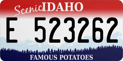 ID license plate E523262