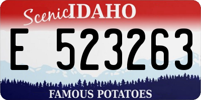 ID license plate E523263