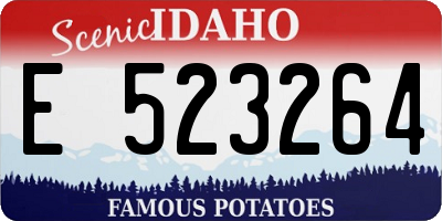 ID license plate E523264